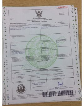 Phytosanitary Documentation