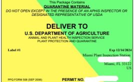 HOW TO GET THE IMPORT PERMIT IN USA