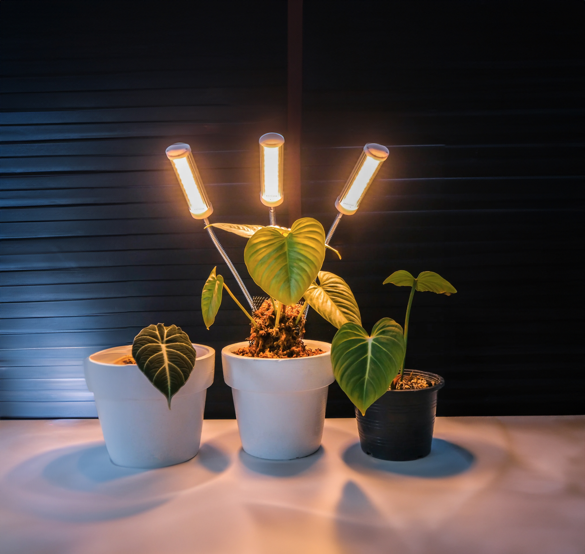 LED plant lights